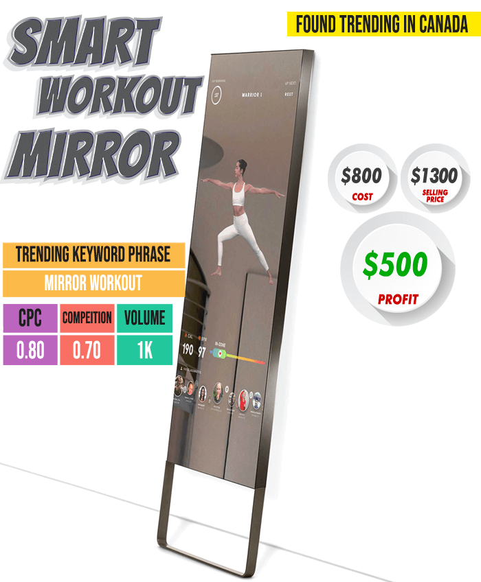 Smart Workout Mirror - Case Study